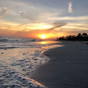 Meet your Posher, Max